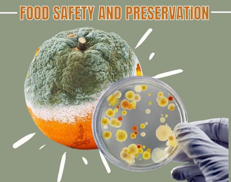 Food preservation (2)