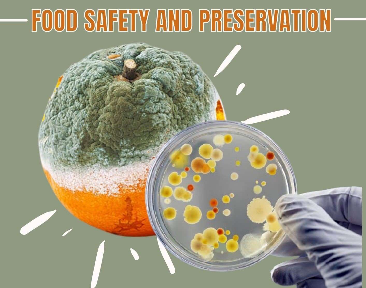 ASNR 510 Food Safety and Preservation
